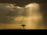 Mystical Sunset on Camp in the Maasai Mara  Kenya