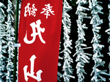 Fortune Papers at Shinto Shrine  Tokyo  Japan