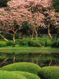 Reflecting Pond  Imperial Palace East Gardens  Tokyo  Japan