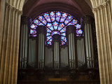 Detail of Notre Dame Cathedral Pipe Organ and Stained Glass Window  Paris  France