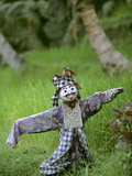 Village Scarecrow  Rice Fields  Near Tegallalan  Bali  Indonesia