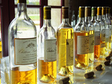 Sauternes Wines at Union Des Grand Crus Tasting  Domaine De Chevalier in Graves  Bordeaux  France