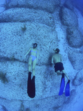 Snorkeling the Bimini Road  North Bimini  out Islands of the Bahamas