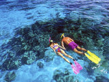 Snorkeling in the Blue Waters of the Bahamas
