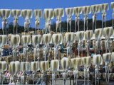Squids Drying in Coastal Town of Sokch'O  South Korea