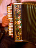Musician Playing Accordion for Turkish Dancers  Turkey