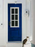 Village Door with Cat  Kokkari  Samos  Aegean Islands  Greece