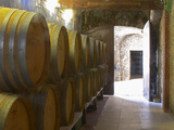Barrels of Wine Aging in the Cellar  Chateau Vannieres  La Cadiere d'Azur