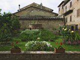 Well and Garden Courtyard  Buonconvento  Italy