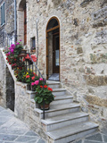 Flower-Lined Stairway  Petroio  Italy