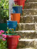 Staircase with Flower Planters  Fiskardo  Kefalonia  Ionian Islands  Greece