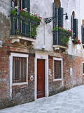 Residential Side Street Decorated with Flowers  Venice  Italy