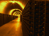 Wine Cellar  Old Chalk Quarry  Champagne Ruinart  Reims  Marne  Ardennes  France