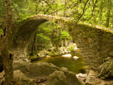 Genoan Bridge in Vegetation of Gorges De Spelonca  Ponte De Zaglia  Corsica  France