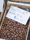 Hazelnut Nuts at a Market Stall  Bergerac  Dordogne  France