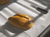Making Foie Gras at Ferme De Biorne Duck and Fowl Farm  Dordogne  France