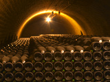 Champagne Bottles in Vaulted Cellar  Champagne Deutz  Ay  Vallee De La Marne  Ardennes  France