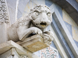 Gargoyle of Duomo Pisa  Pisa  Italy
