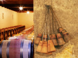 Barrel Cellar for Aging Wines in Oak Casks  Chateau La Grave Figeac  Bordeaux  France
