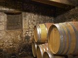 Oak Barrique Barrels with Aging Red Wine  Jute Chateau Belingard  Bergerac  Dordogne  France