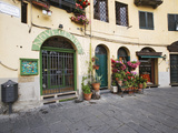 View of Piazza Anfiteatro  Lucca  Italy