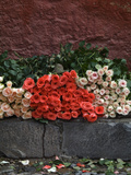 Roses for Sale on Street  San Miguel De Allende  Mexico