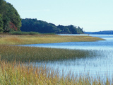 Salt Marsh Bordering the Royal River  Maine  USA