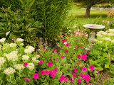 Birdbath and Flowers  Oakland House Seaside Resort  Brooksville