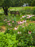 Medicinal Garden  Oakland House Seaside Resort  Brooksville