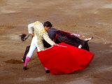 Matador at Monumental El Paso  Bullfight (Fiesta Brava)  San Luis Potosi  Mexico