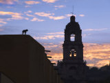 Sunrise with Church and Dog on Roof  San Miguel De Allende  Mexico