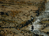 Native Peoples  Inca Road  Empires of the Sun  Lake Titicaca  Copacabana  Andes  Bolivia