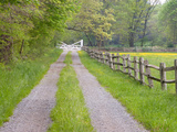 Split Rail Fence and Farm Road  Ipswich  Massachusetts  USA