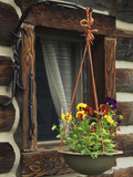 Flower Basket Outside Window of Log Cabin  Fort Boonesborough  Kentucky  USA