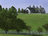 Elegant Horse Barn Atop Hill  Woodford County  Kentucky  USA