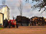 Farm with Old Red Tractor and Firewood  Montevideo  Uruguay