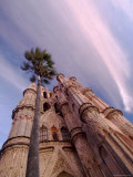 The Parroquia Church and Palm Tree  San Miguel De Allende  Mexico
