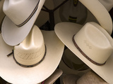Rack with Assortment of Stylish Mexican Hats  Puerto Vallarta  Mexico