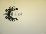 Silhouettes and Reflections of Mangrove Tree and Reeds in Water