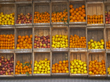 Fruit and Vegetable Shop in Wooden Crates  Montevideo  Uruguay