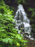 Fairy Falls Tumbling Down Basalt Rocks  Columbia River Gorge National Scenic Area  Oregon  USA