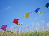 Kites on the Beach  Long Beach  Washington  USA