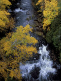 Autumn  Ontonogan River  Upper Peninsula  Michigan  USA