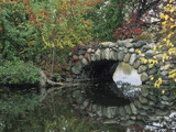 Trees by Pond and Stone Bridge at Hecksher Museum  Long Island  New York  USA