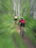 Zoom Effect of Mountain Bike Racers on Trail in Aspen Forest  Methow Valley  Washington  USA