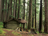 Rainforest and Sol Duc Shelter  Sol Duc Valley  Olympic National Park  Washington  USA