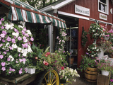 Farm Stand in Red Barn with Flowers  Long Island  New York  USA