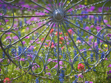 Wheel Gate and Fence with Blue Bonnets  Indian Paint Brush and Phlox  Near Devine  Texas  USA