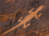 Prehistoric Petroglyph Rock Art at Dinosaur National Monument  Utah  USA