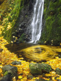 Starvation Creek Falls Creates a Maple Leaf Whirlpool on Water